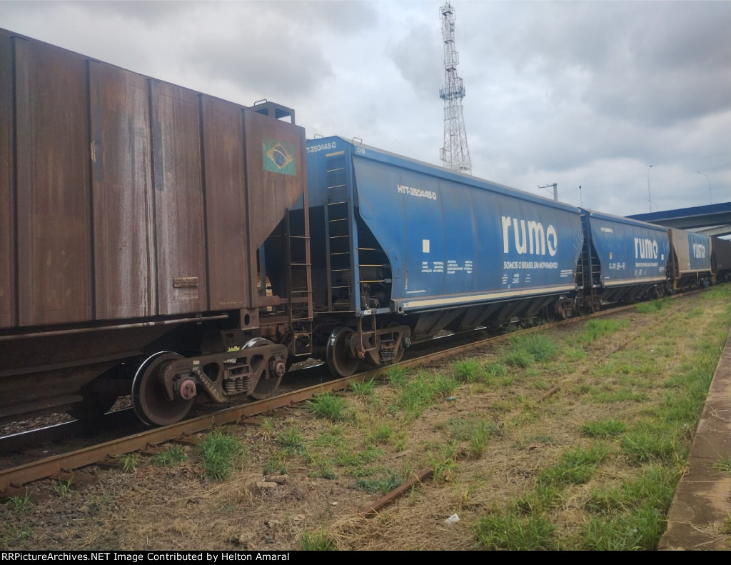 RUMO HTT-350445-0